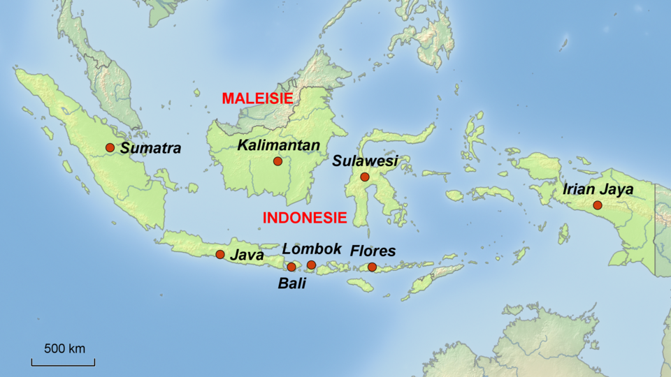 Reisplanner Indonesie