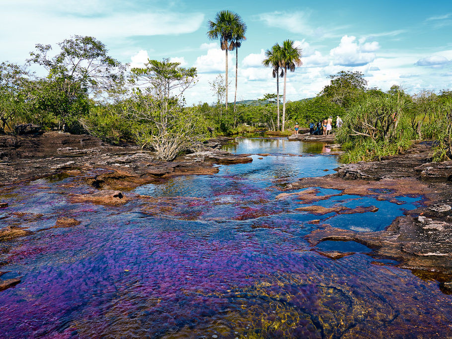 Cano Cristales