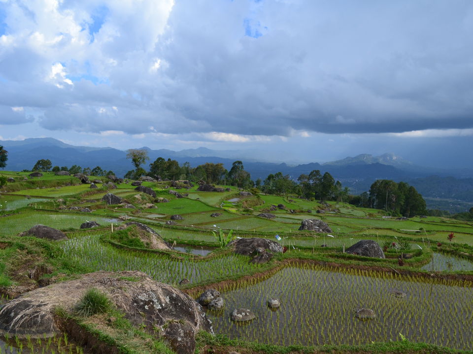 D Toraja Trekking Header