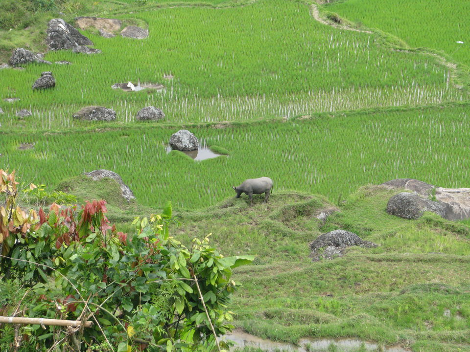 D Toraja Trekking dag