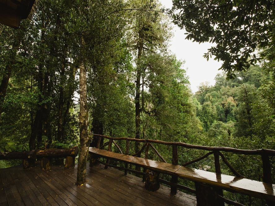 d omgeving Nawelpi lodge