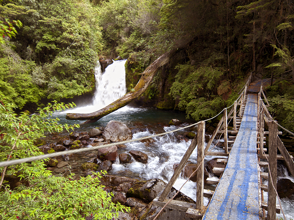 d omgeving Termas Puyehue