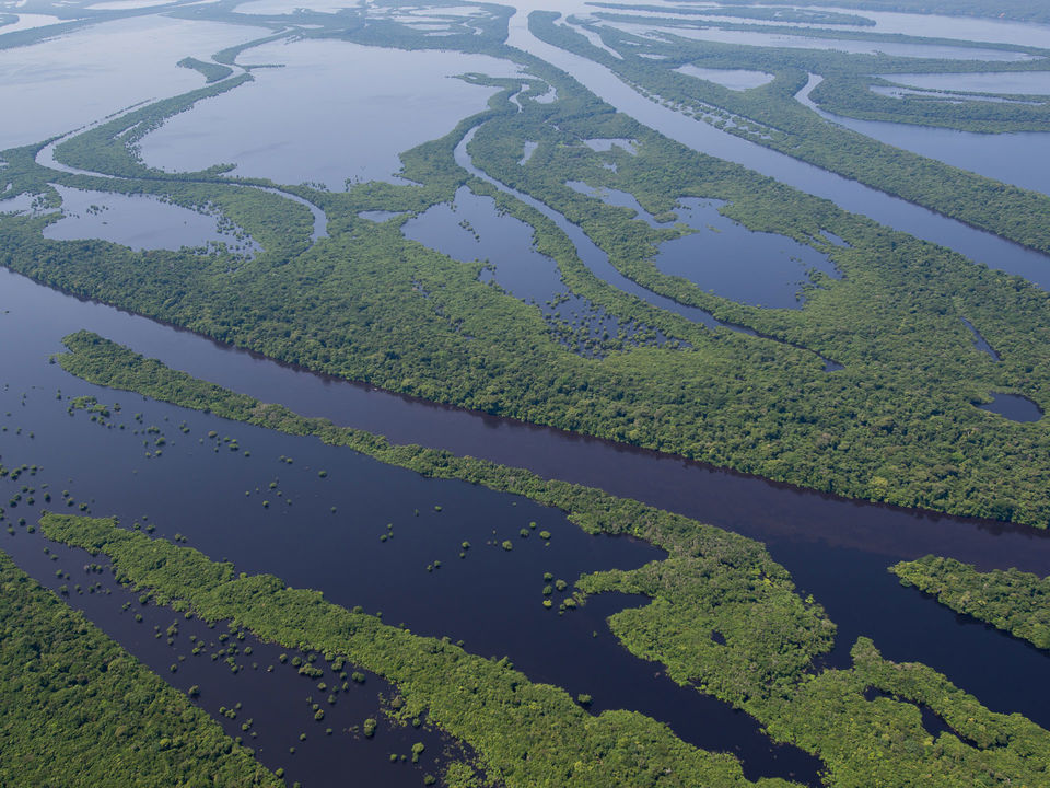 Amazon Clipper header ok