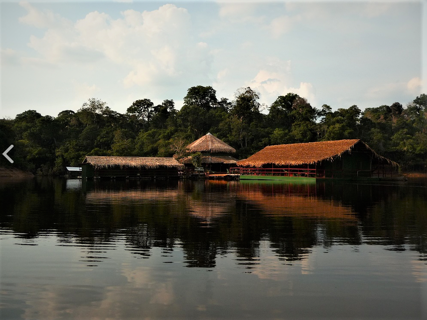 Amazon Lodge