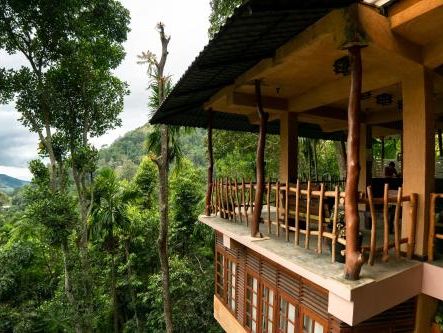 Arana Ella Sri Lanka Eco Lodge and Yoga Center