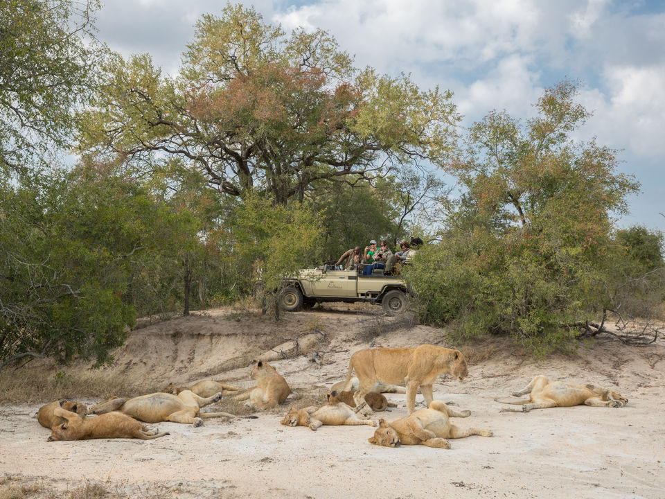 Arathusa Safari Lodge omgeving
