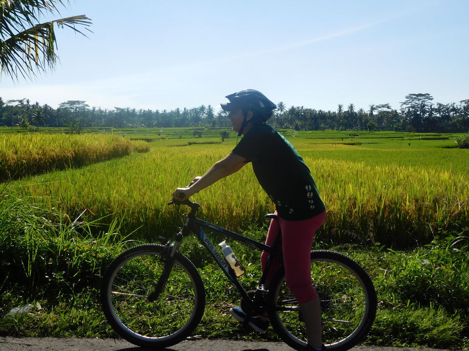 Baik Bike   North Ubud Biking Moderate Trip (hrs)    ()