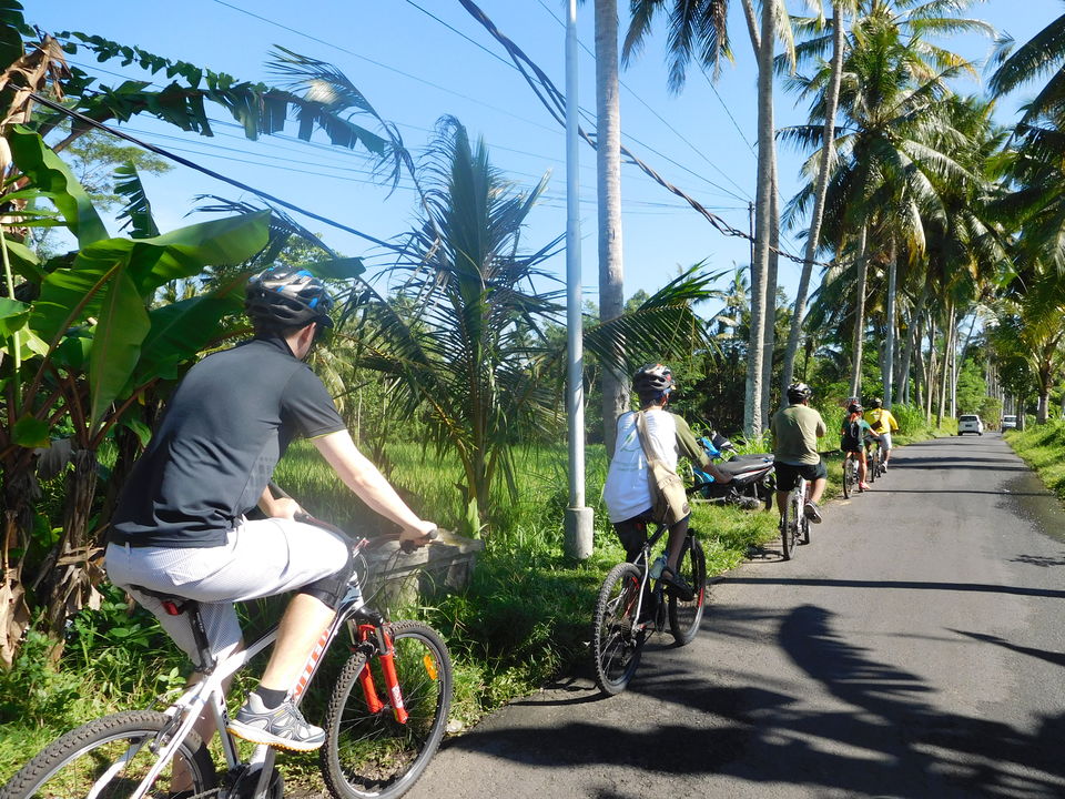 Baik Bike   North Ubud Biking Moderate Trip Intro