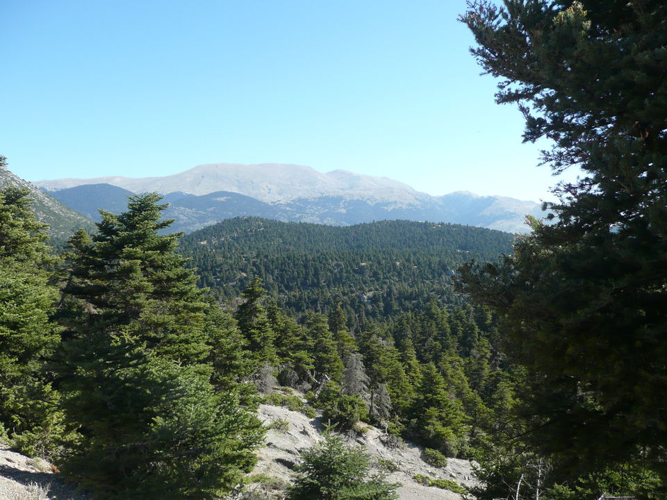 Delphi   Korycian Cave walk