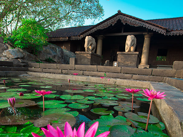 Forest Rock Garden intro