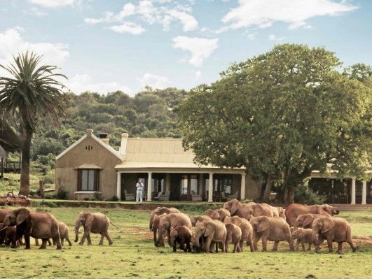 Gorah Elephant Camp header