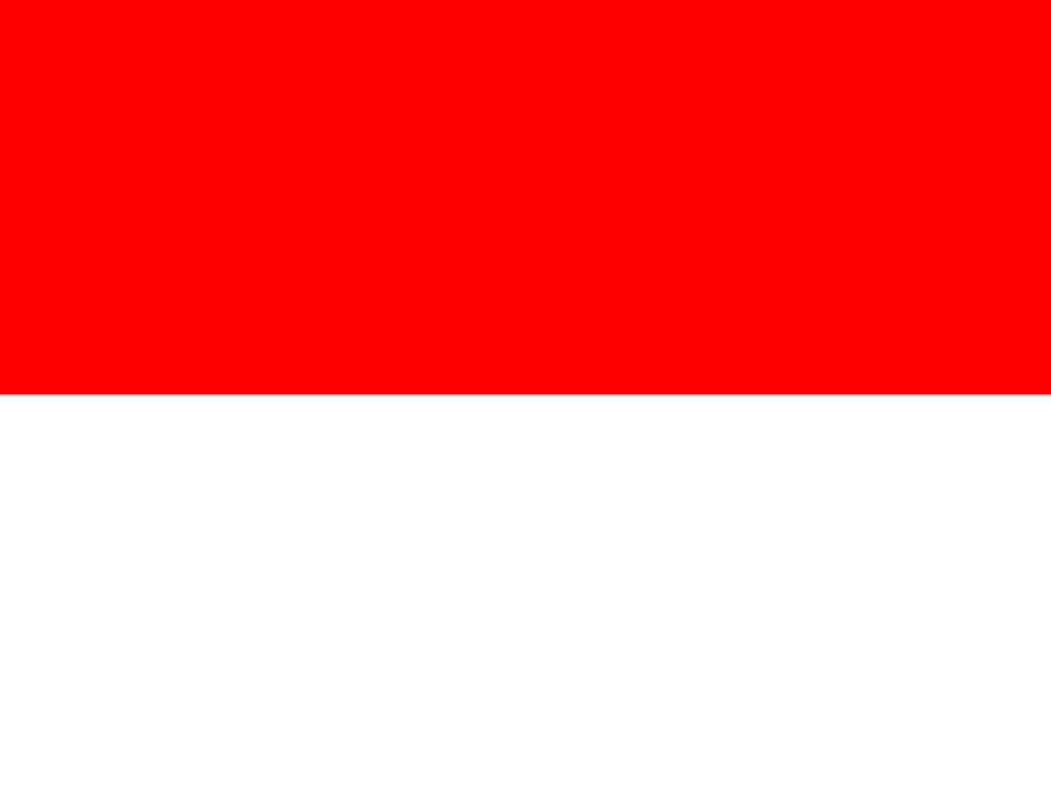 Indonesie vlag