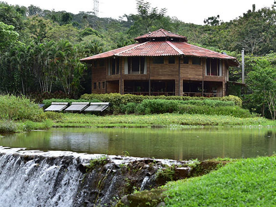 Macaw Lodge