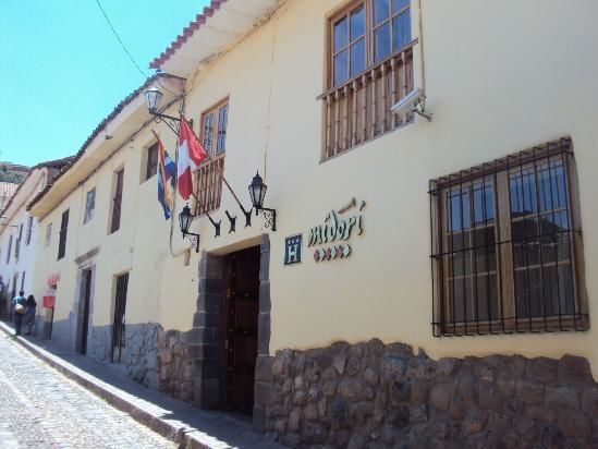 MidoriCuszo