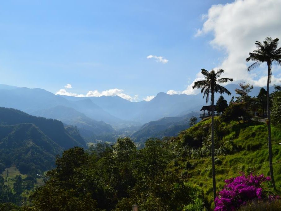 Mirador de Cocora header