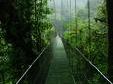 Monteverde
