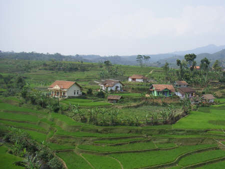 Munduk