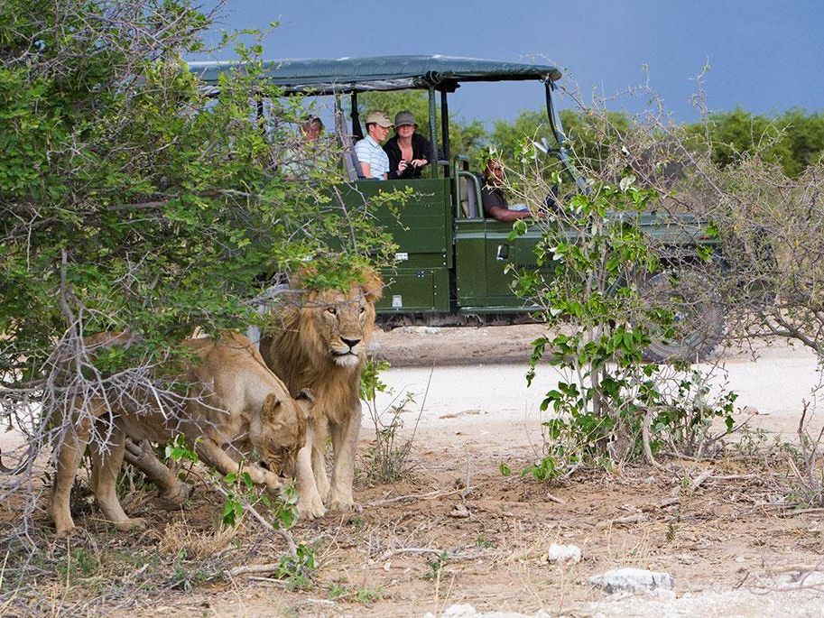 Mushara Outpost footer