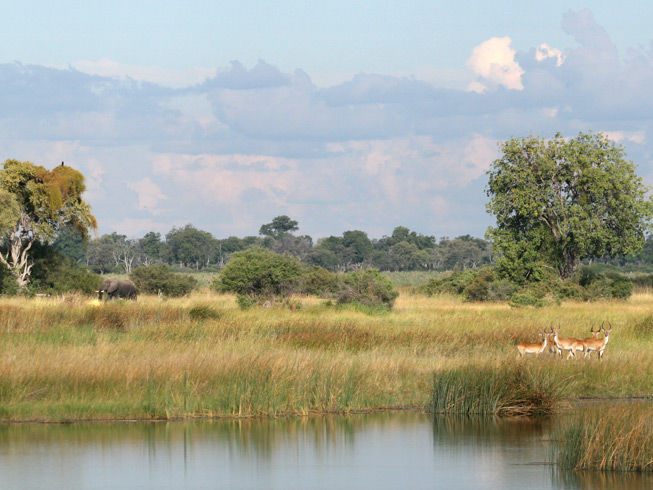 Nkasa Lupala Tented Lodge footer