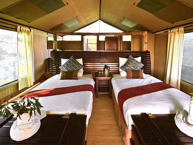 Pom Pom camp footer goed