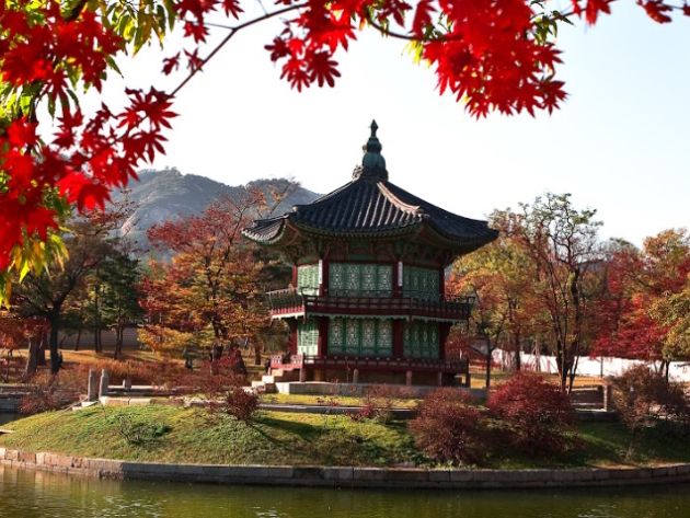 Reis naar Zuid Korea