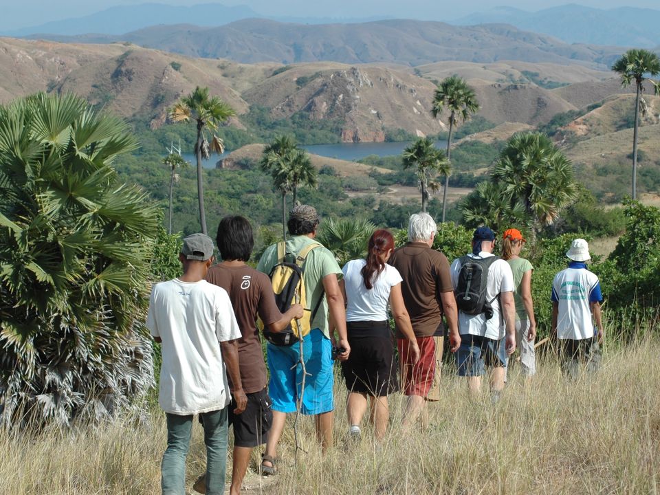 Rinca Komodo tour dag