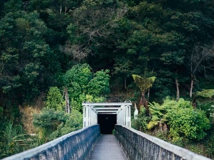 Rondreis Nieuw Zeeland Coromandel