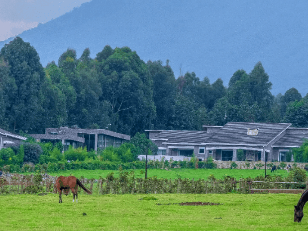 Rondreis Rwanda Farmhouse Rwanda Farm Volcanoes National Park
