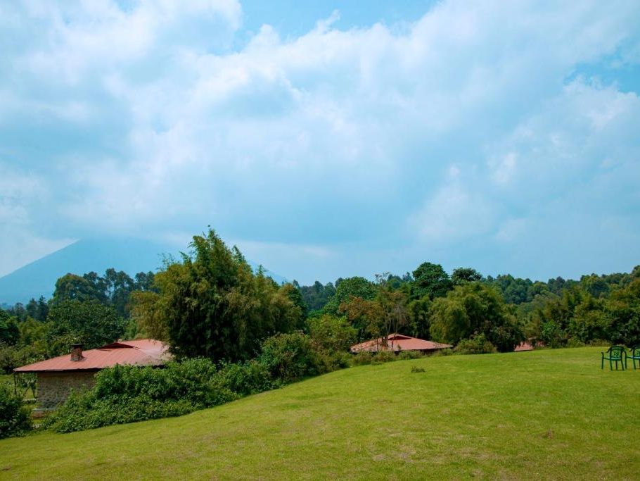 Rondreis Rwanda Mountain Gorilla View Lodge Ruhengeri gorillatrekking vulkaan
