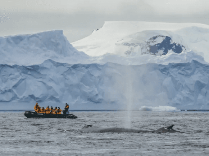 Rondreizen Antarctica Introwebsite AN
