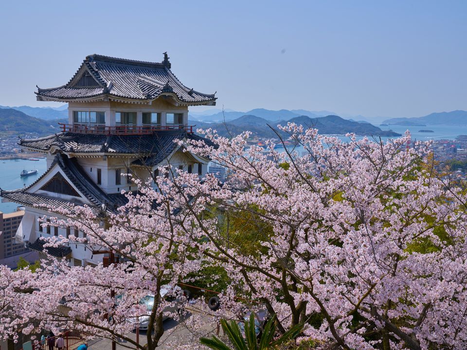 Rondreizen Japan   Onomichi   Kasteel met bloesem op de voorgrond