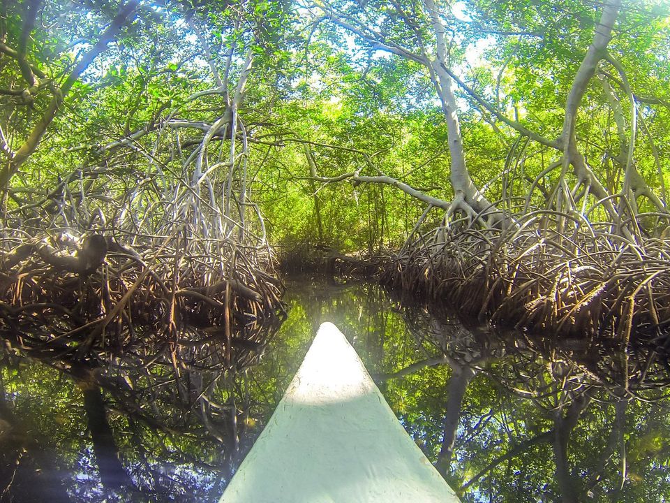 San Pedro de Majagua
