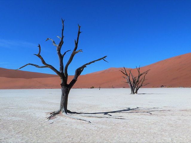 Sossus Dune Lodge intro