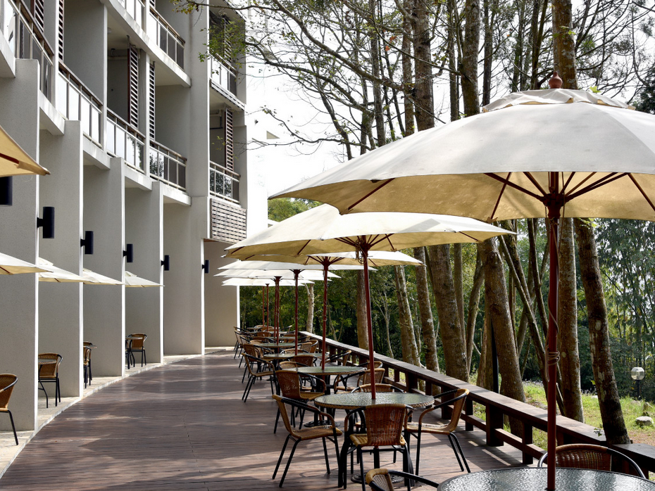 Sun Moon Lake   Sun Moon Lake Bamboo Rock