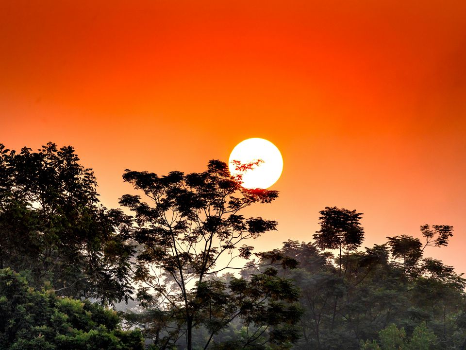 Sunset jungle tour
