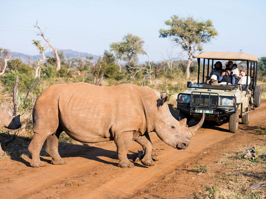 Thakadu River Camp omgeving
