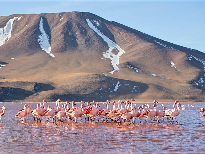 Uyuni dag