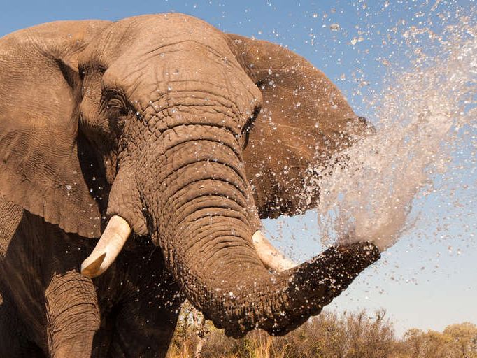 Vakantie naar Namibie mooiste routes en praktische tips