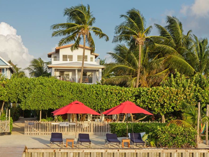 Weezies Exterior Umbrellas