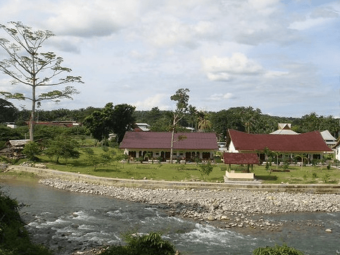 bukit lawang rindu alam