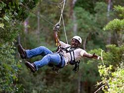 canopy tour