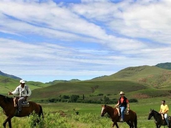 estancia las carreras