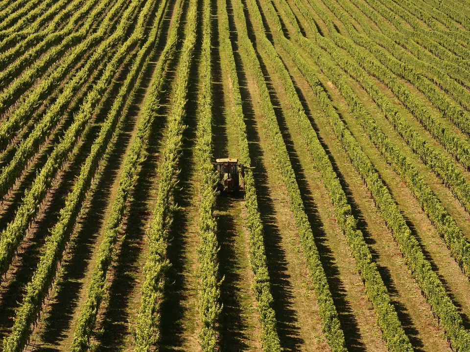 excursie blenheim wine tour rondreis nieuwzeeland