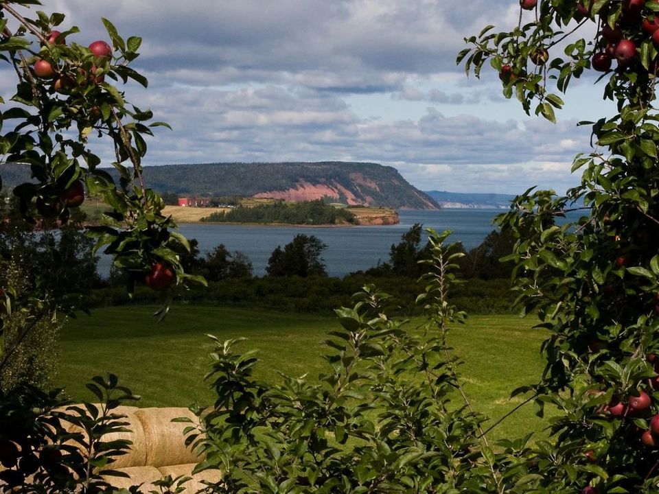 halifax bay of fundy