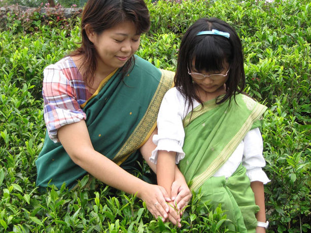 heritance tea factory