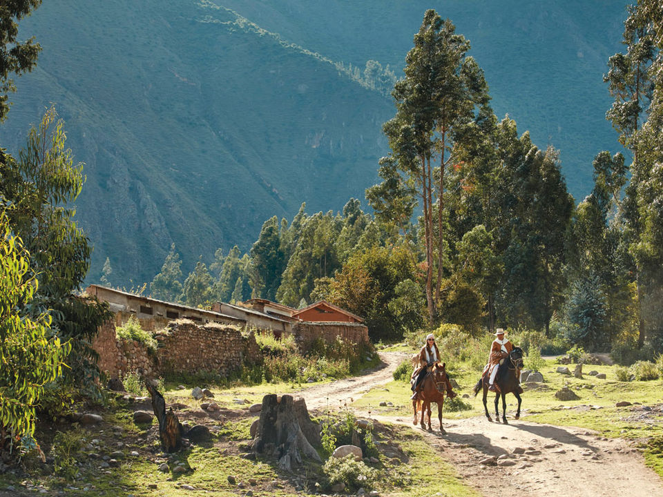 horsebackriding activity