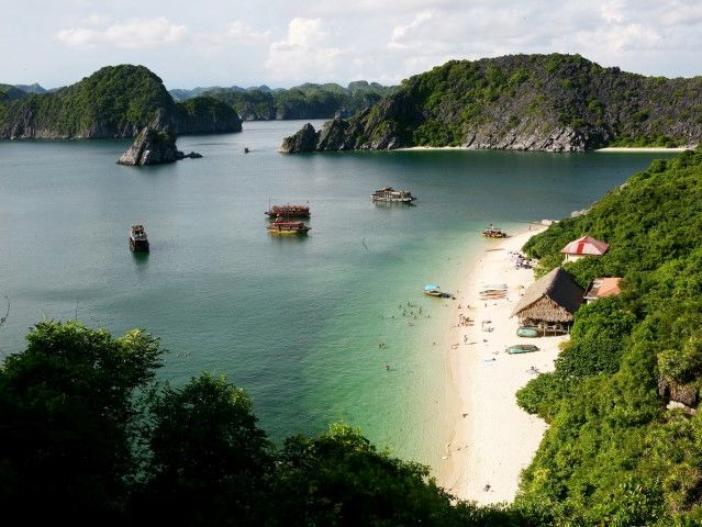 hotel monkey island