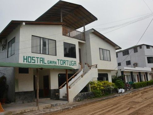 la gran tortuga