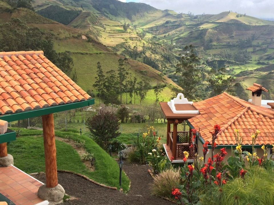 llullu llama