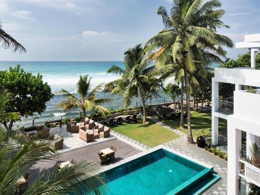 owl and the pussycat unawatuna